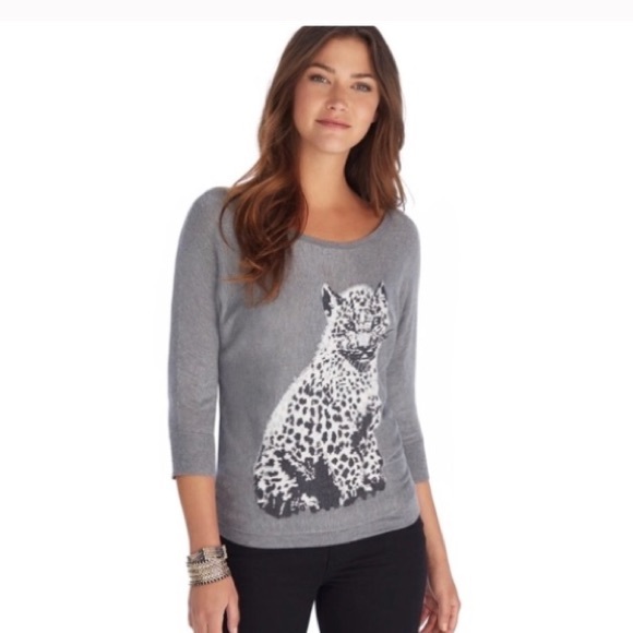 White House Black Market Sweaters White House Black Market Leopard Cat Sweater Xs Poshmark